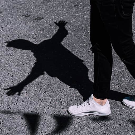 Homeostasis – it’s all about balance!